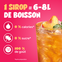 ahead-sirop-ice-tea-p-che-zero-sucre-p-che image 3