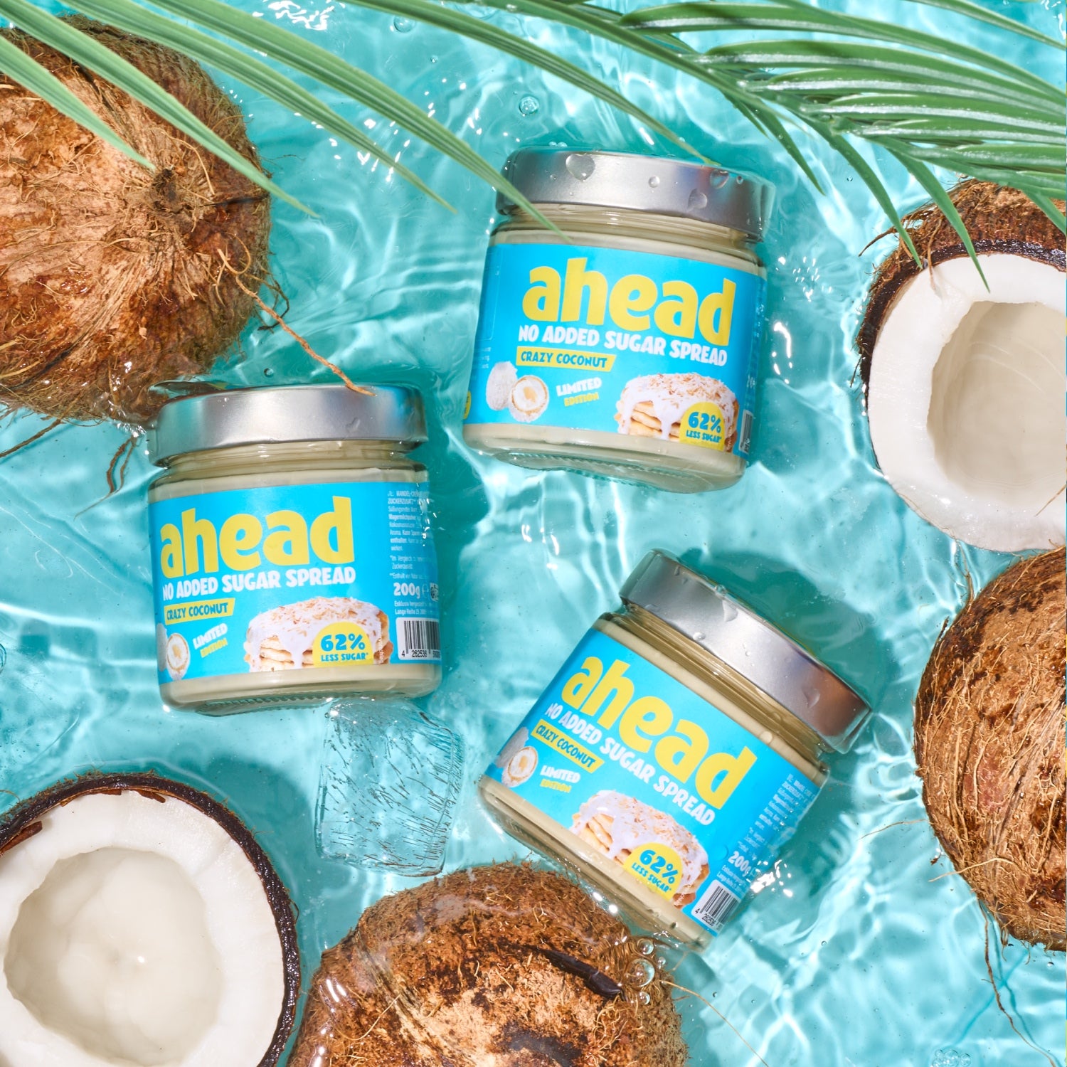 ahead-crazy-coconut image 3