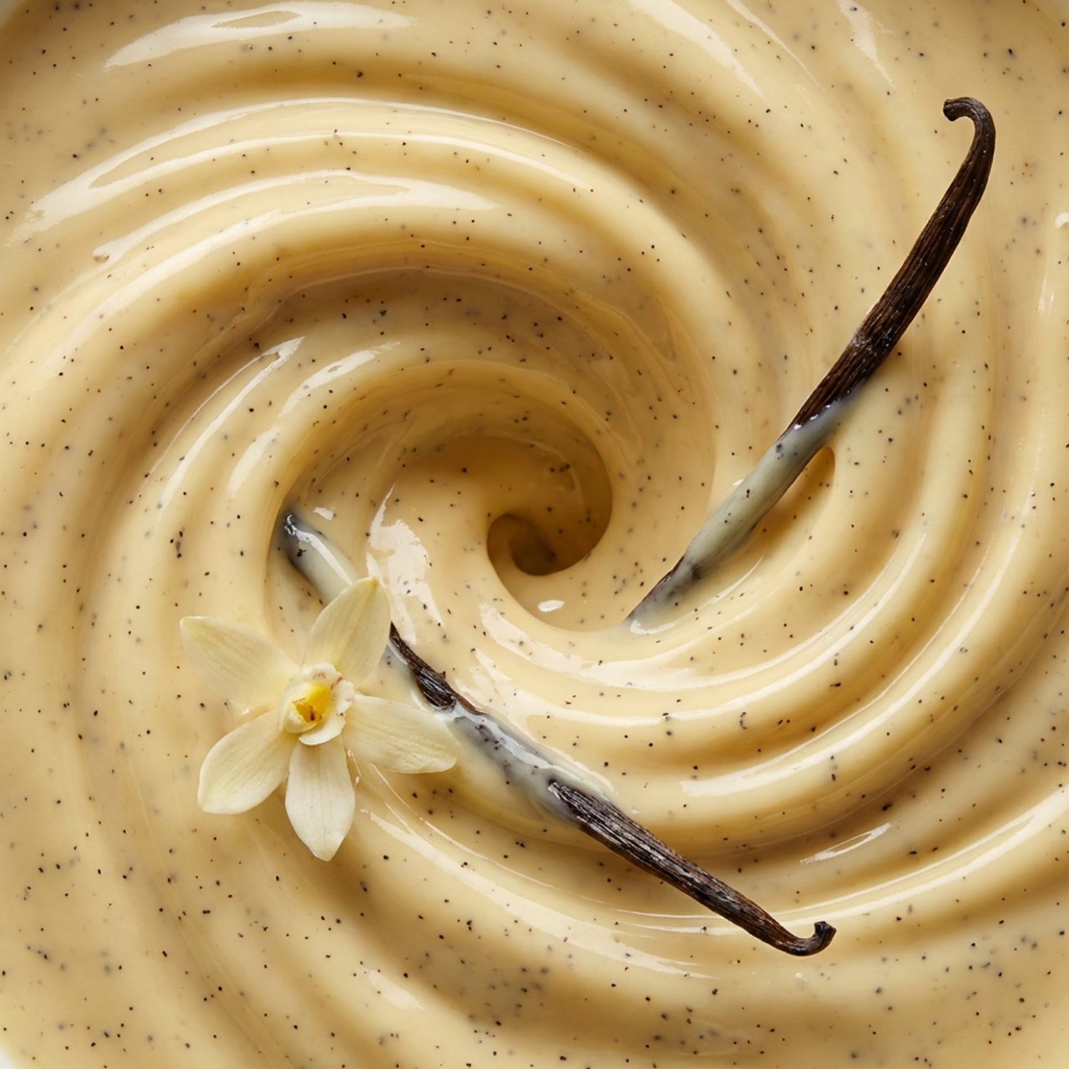 ahead-vanilla-dream-flavour-powder-bourbon-vanille-vegan image 4